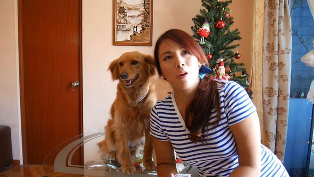 Cómo hacer que tu perrito mire a la cámara para la fotito