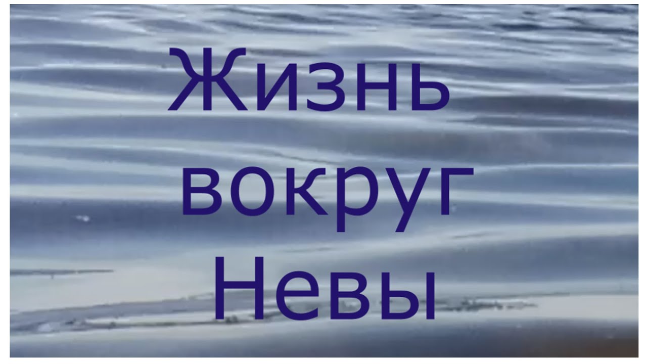 Зарисовка о Петербурге в День Города