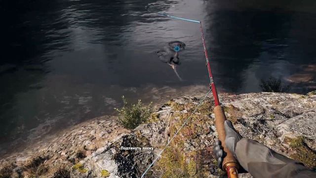 Камера нового поколения | Far Cry 5