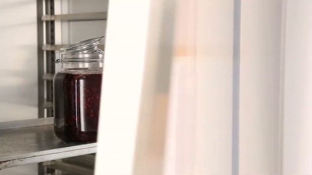 Fermentazione. Passato e futuro della cucina.