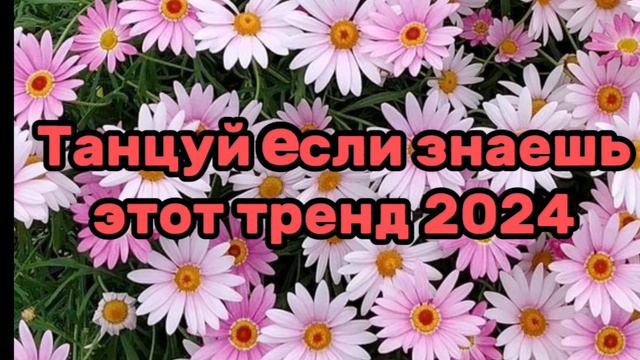 ТАНЦУЙ ЕСЛИ ЗНАЕШЬ ТРЕНД 2024 ГОДА