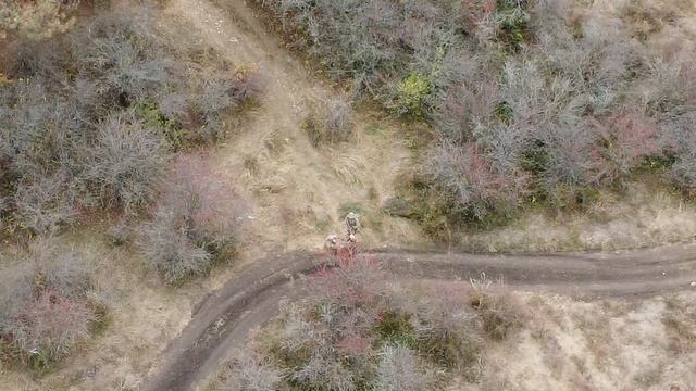 Страйкбол + охота на лис DJI 0663