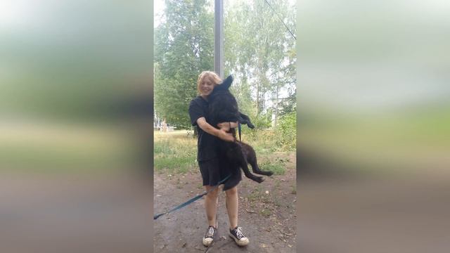 Фото с прошедшего субботника в приюте 