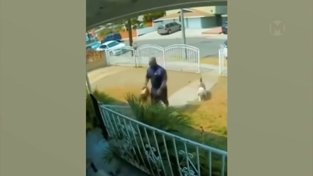 За Секунду До! Скрытая Камера Сняла Такое, Что Никто не Ожидал Увидеть!