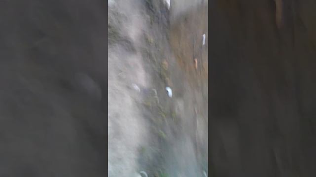 Деревня кривко