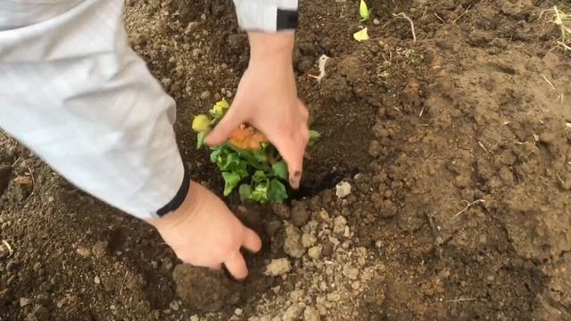 ЖИЗНЬ БЕЗ ТАБЛЕТОК И БОЛЕЙ. ЕЛЕНА РИТА 10й ДЕНЬ В СТОПАПТЕКЕ!