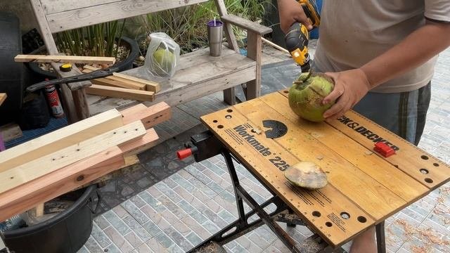 Dewalt  DCS356 Vs Coconut