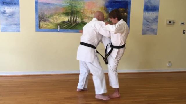 Bunkai: Pinan Yondan third direction
