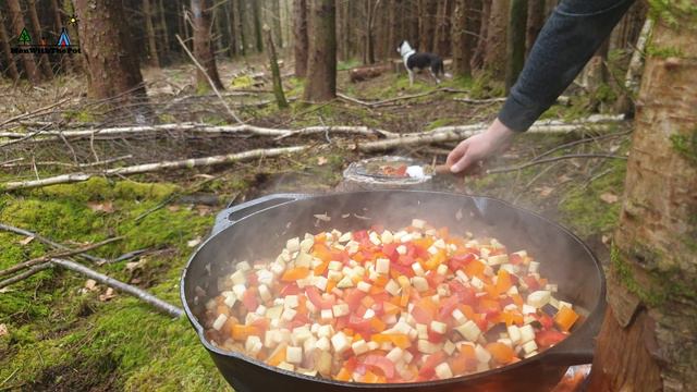 Forest Meatloaf  "Cake" full of goodness😍 ASMR Wilderness Cooking! NO TALK