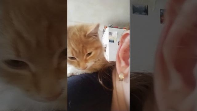 VID20231024115558.mp4