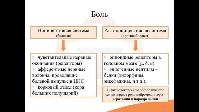 13.1. Общие понятия о боли. Обезболивающие средства