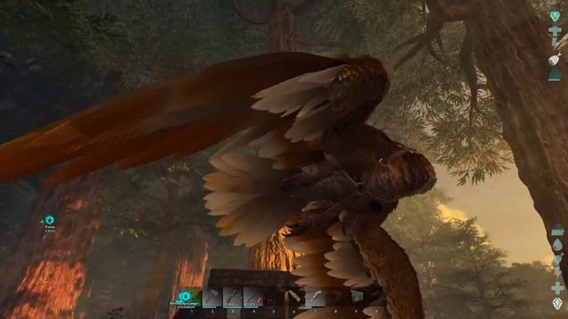 Свирепый Медведь и ещё один Кетцаль - ARK Survival Ascended #12