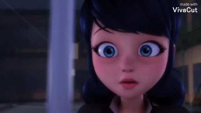 Леди баг и супер кот