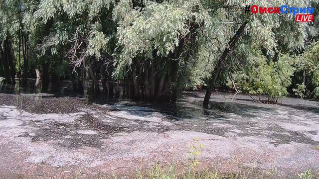 Во время разлива Иртыша в парке «Зелёный остров» образовываются незапланированные водоёмы: