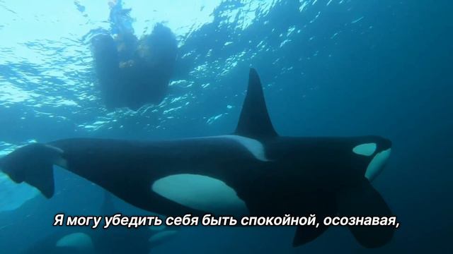 Обеспечить спокойствие. 29 июля. День за днем в Ал-анон. Ежедневник для созависимых