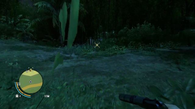 Far Cry 3 на 100% (сложность "Чемпион") - [03] - Собирательство-1