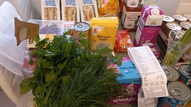 СЕГОДНЯШНЕЕ "ЧЁКУПИЛА" В ГЕРМАНИИ/ ОТ ЦЕН НЕБОЛЬШОЙ ШОК/ ПРО МЯСО И КОРМ ДЛЯ КОШЕК/
