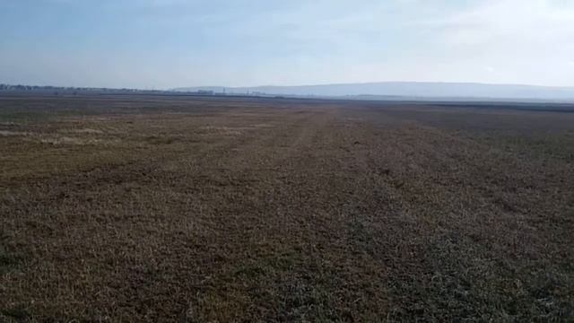 Продажа земли под с/х. Участок (пай) 5 га. БСС №204