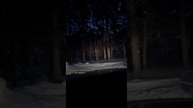 Вечер после шашлыка:-)