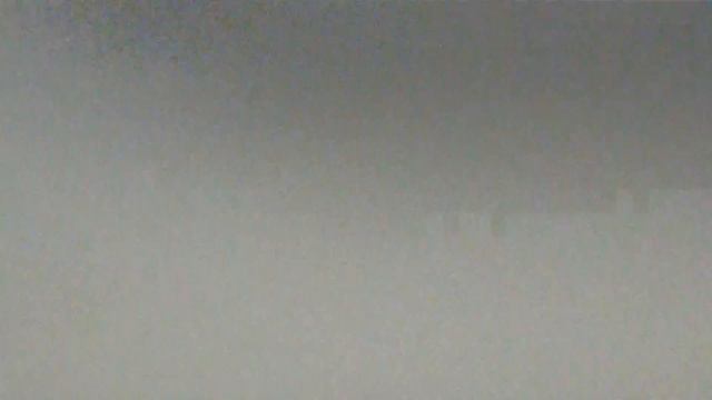 29. Моно пуделей 8.07.2018. Озерск. БЭСТ той и миниатюра