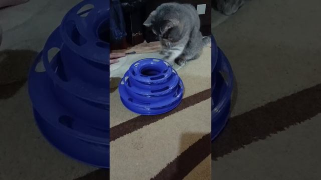 игрушка для кошек