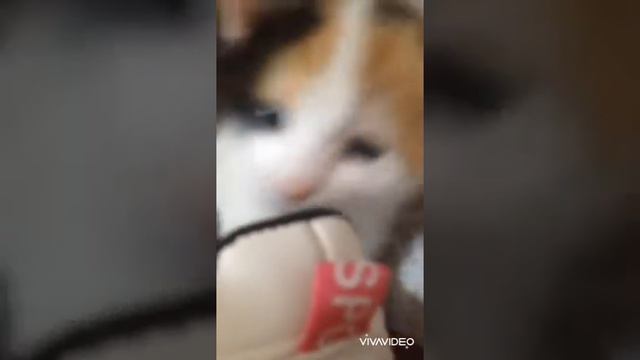 Ммла играет,какая большая стала...