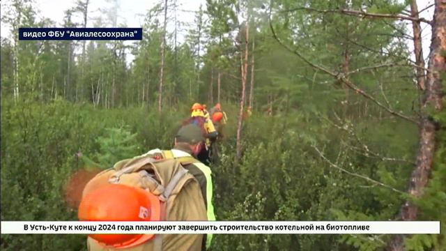 Первый заместитель губернатора Иркутской области прибыл в Бодайбо для координации тушения лесных пож