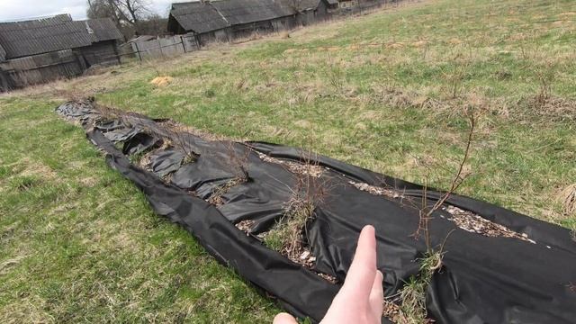 Укрывной материал спустя 8 месяцев