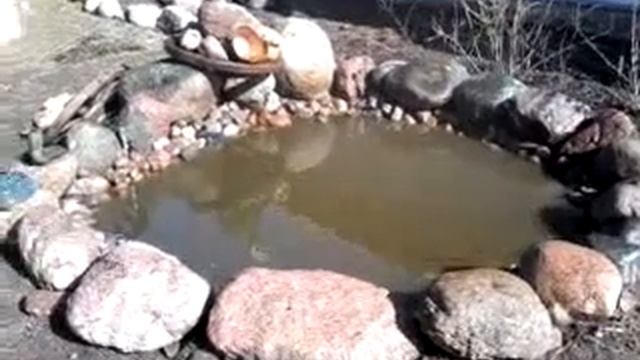 Пруд для уток своими руками