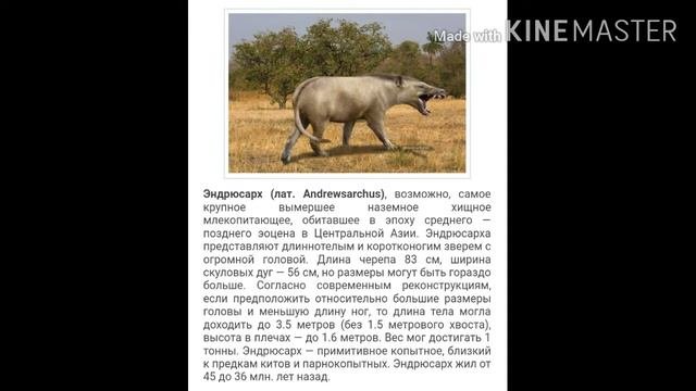 Древние животные мира