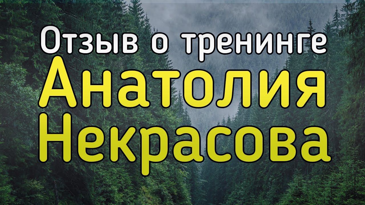 Денис Сахаров  отзыв о тренинге Анатолия Некрасова