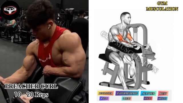 5 Quick Effective Biceps Exercises For Growth