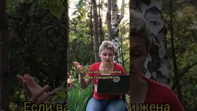 Скандал – аналог сеk$а #shorts #психология  #карьера