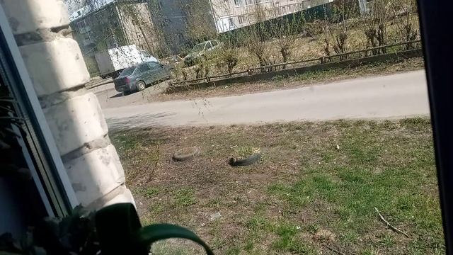 VID_20230420_115125.mp4