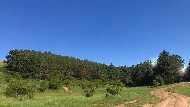 Our walking with cat. Прогулка с кошкой на природе.