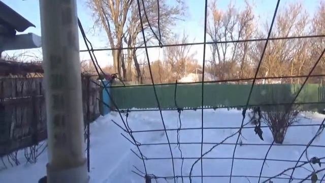 сильный мороз заводим машину в мороз и заводим волгу в мороз