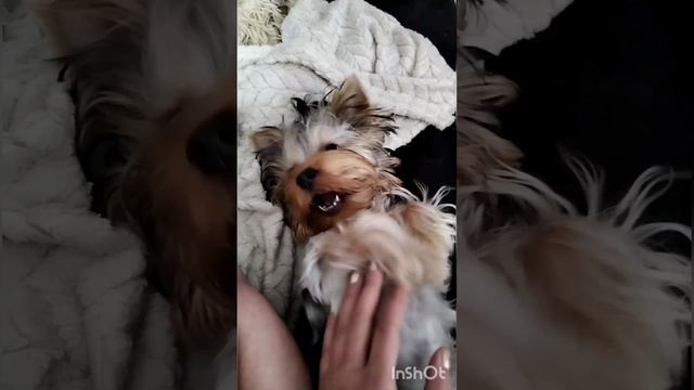 Полинка спит