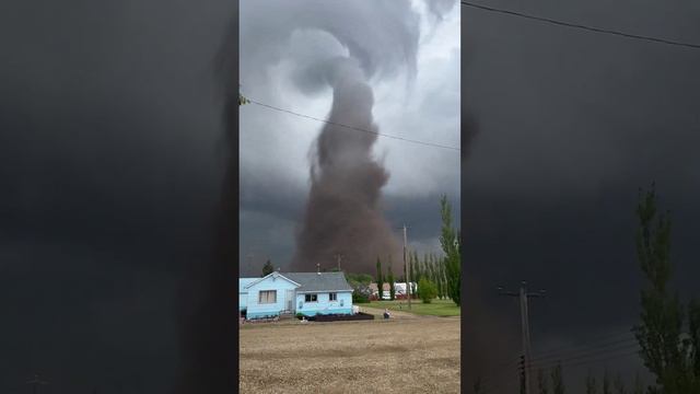 Торнадо повредил множество деревьев и дом недалеко от поселка Эдберг в Альберте, Канада, 3 июня 2024