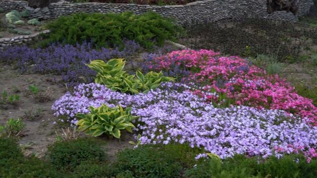 VDNH - Spring Flowers
