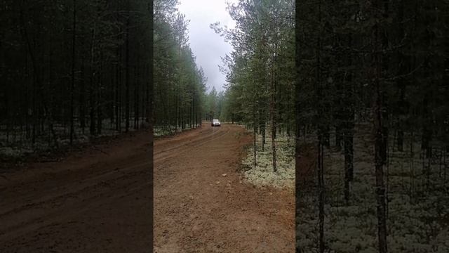 Ралли спринт Сыктывкар.