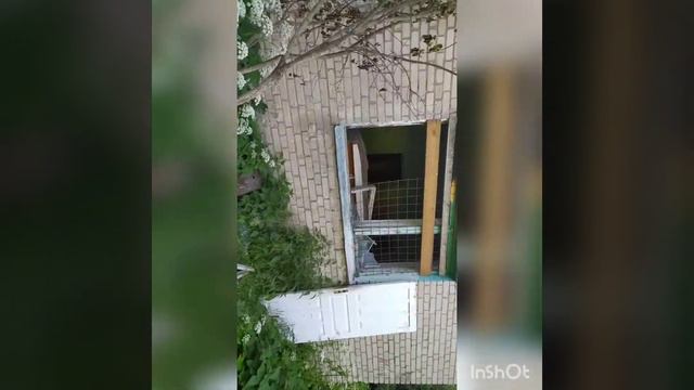 Зашли в дом на Красном Бору