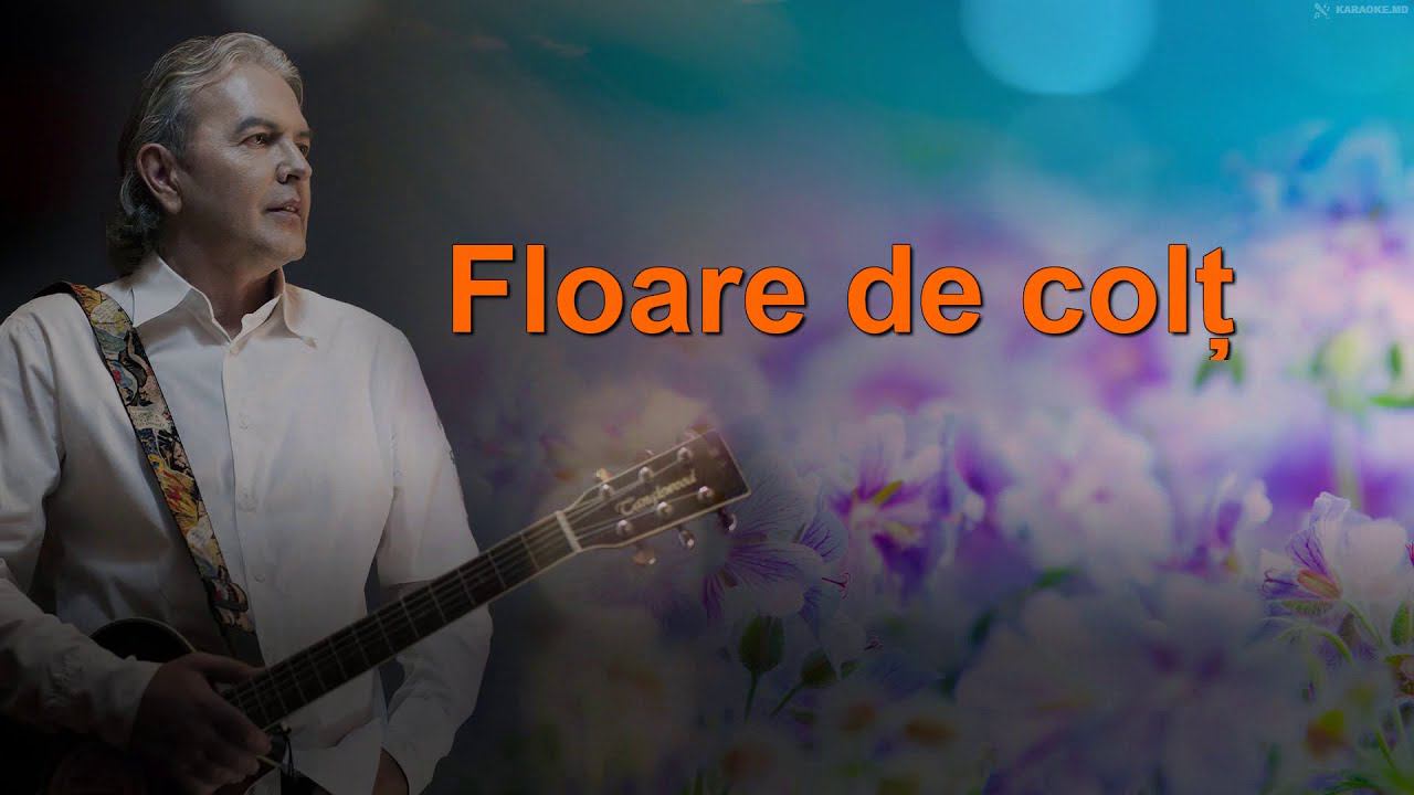 Ducu Berți: "Floare de colț"