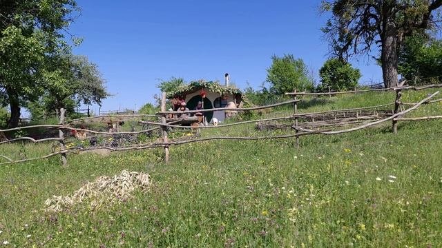 Harvesting and Drying Herbs for Teas and Cooking Easy Spring Dish Cooking on Nature