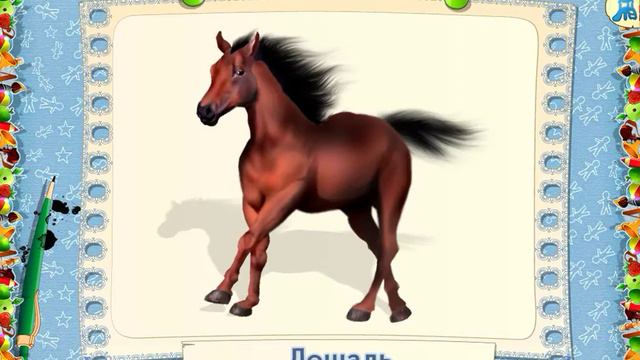Учим звери, Развитие детей по системе Монтессори (быстрое видео) Learn animals