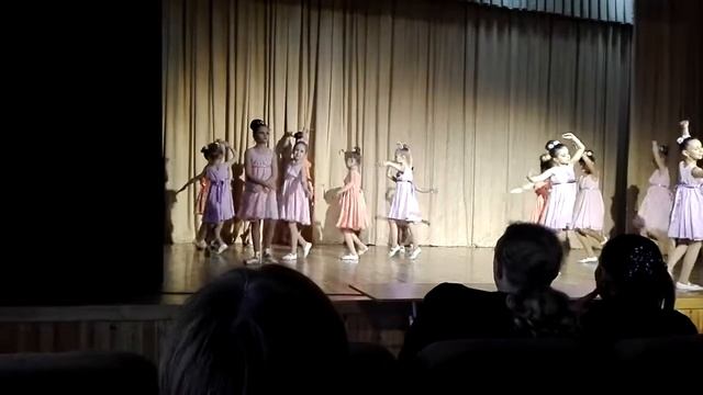 Балет.Русский лебедь.Виола.
