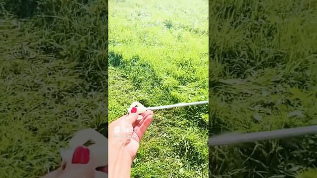 НАДУВНАЯ ПАЛАТКА ТОП-2024 #naturehike #палатка #топ2024 #рекомендации #полезныесоветы #shorts