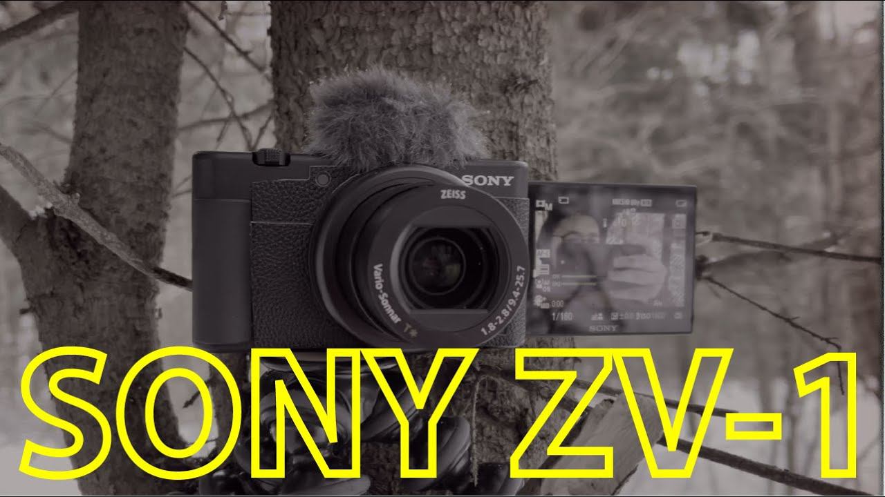 ЧЕСТНО О КАМЕРЕ SONY ZV-1 - все плюсы и минусы