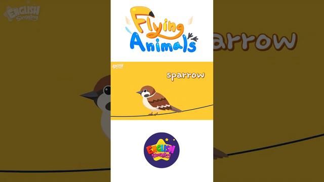 Kids vocabulary - Flying Animals