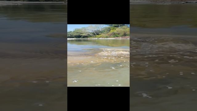 Берегите природу Мать вашу 🤔