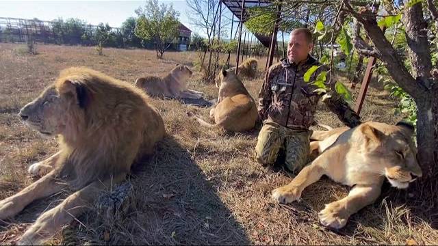 Пока мы записывались ,  львицы УСТРОИЛИ ПОГРОМ В МАШИНЕ !